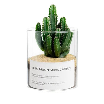 Trys vnt 8.5 kalibro vazonas stiklo taros tvirtinamą vaza dauginamosios hydroponic augalai, succulents